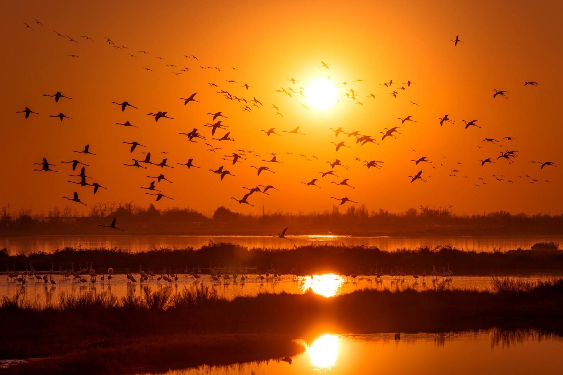 Happy House - Host Solution Appartamento